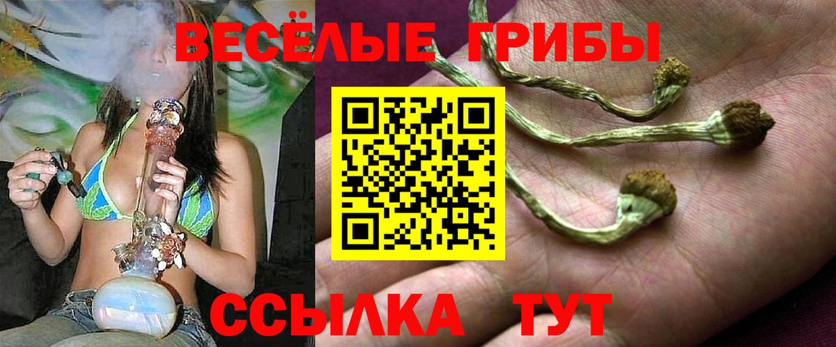 Холмск  Галлюциногенные грибы Cubensis  Вход с VPN 